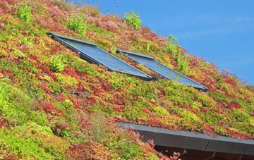 Nettacott living roof systems