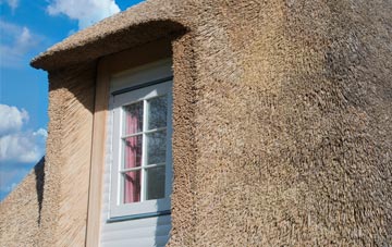 Nettacott thatch roof disadvantages