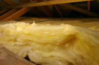 Nettacott pitch roof insulation